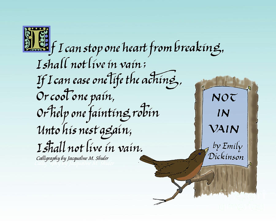Dickinson poem- Not in Vain Drawing by Jacqueline Shuler