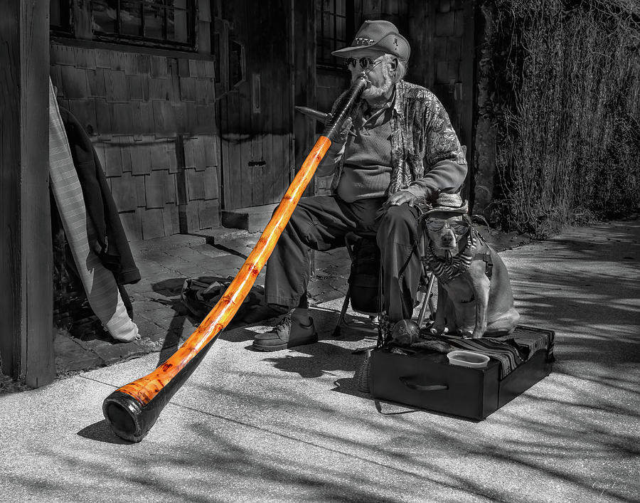 Didgeridoo Photograph - Didgeridoo by Chip Evra