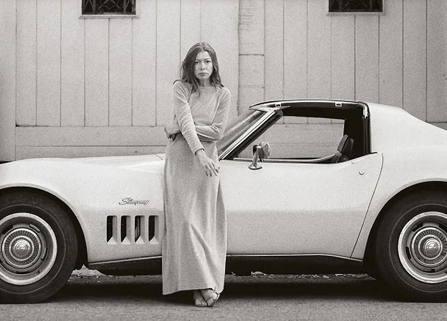 Didion In Front Of Her Yellow Stingray Poster Painting By Palmer Isaac ...