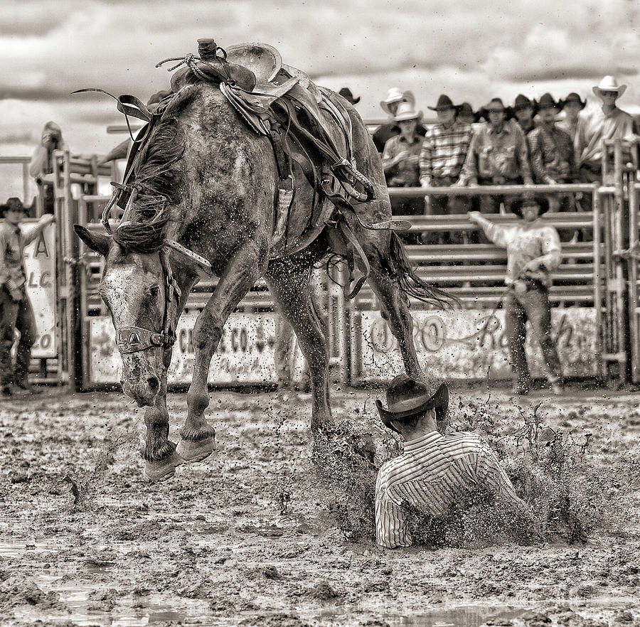 Didn't make the time Photograph by Bev Pettit - Fine Art America