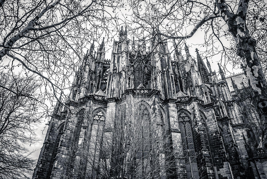 Different Angle of Cologne Cathedral Photograph by SW Photography