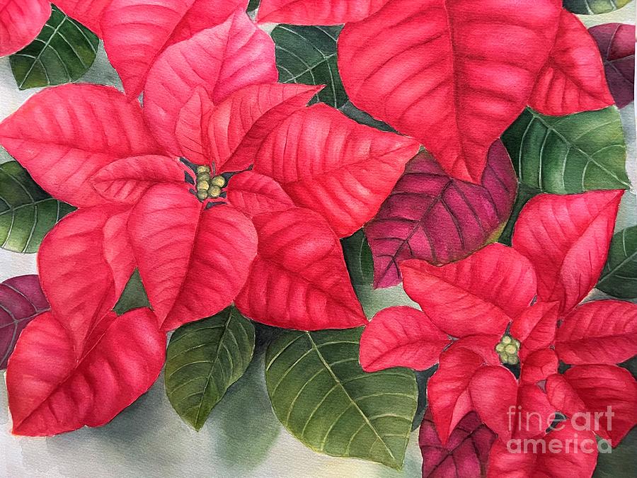 Different red poinsettia blooms Painting by Inese Poga