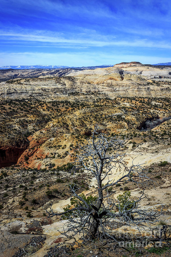 difficult-terrain-photograph-by-michael-overstreet-fine-art-america