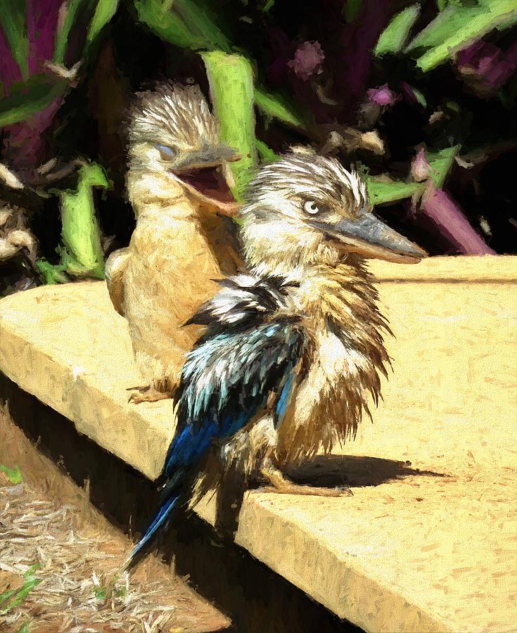 Bird Mixed Media - Digging Kookaburra 2 by Joan Stratton