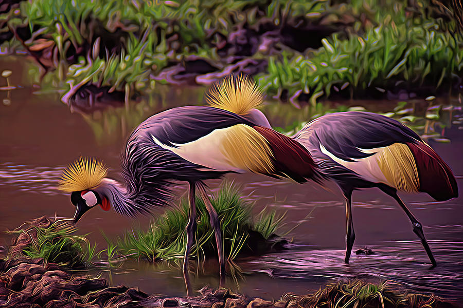 Digital Crowned Cranes Photograph by MaryJane Sesto