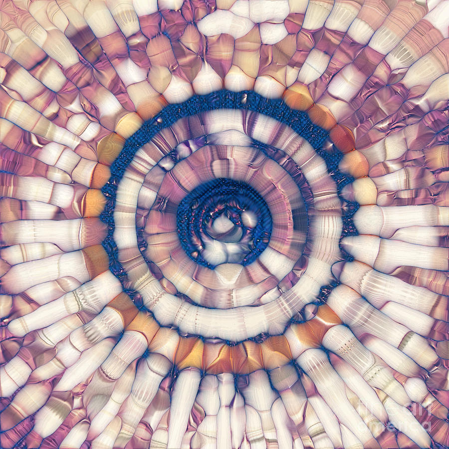 Digital Fabric Mandala Digital Art by Phil Perkins