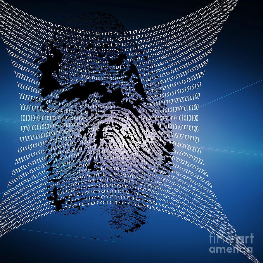 Digital Fingerprint Digital Art By Bruce Rolff - Fine Art America