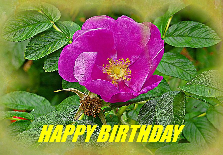 Digital Floral Art Birthday Card 3 Photograph by John Hughes - Fine Art ...