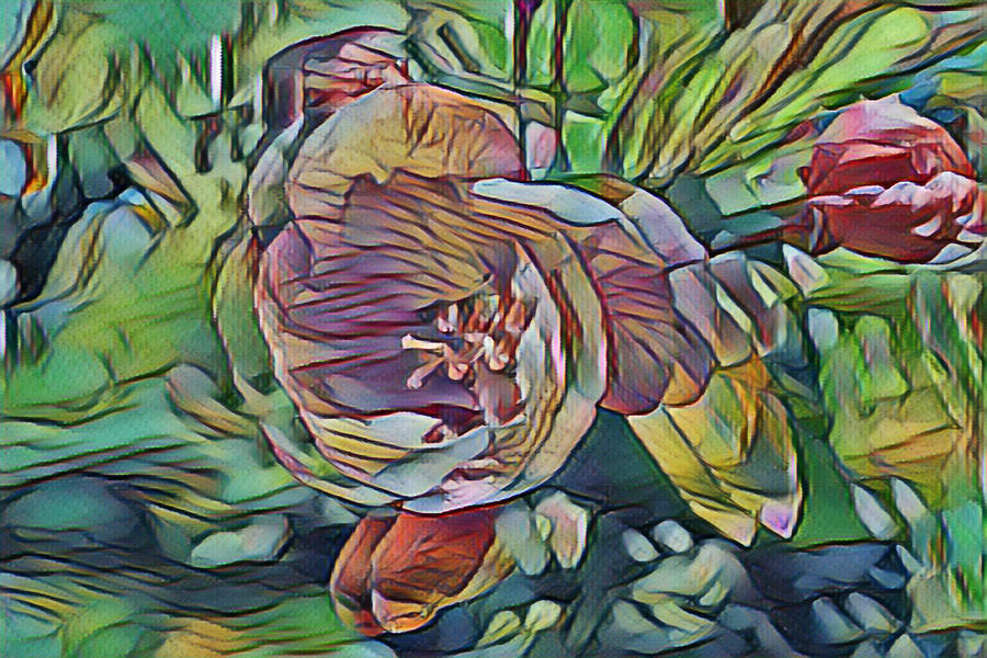 Digital Flower Photograph