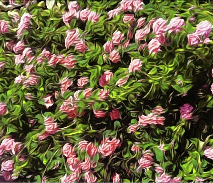 Digital Flowers Photograph by Cherry Vercher Digital Flowers Photograph by Cherry Vercher