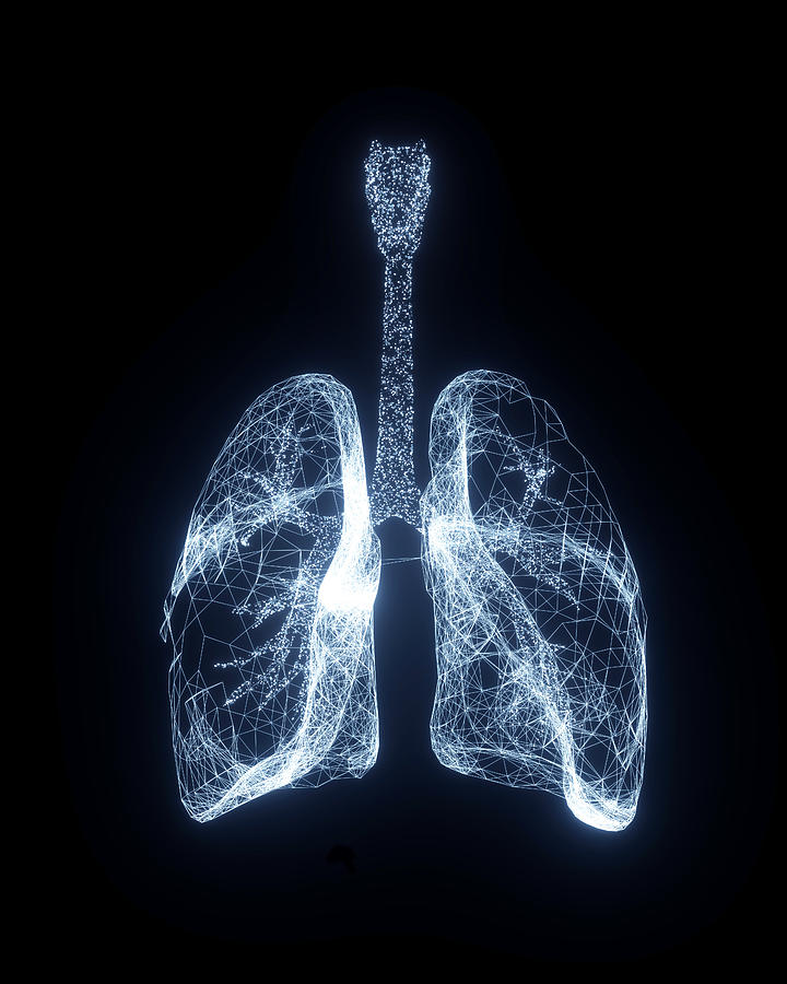 Digital Lungs Photograph by Andriy Onufriyenko