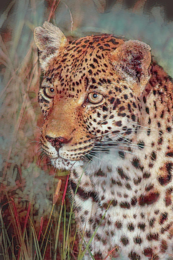 Digital Painted Leopard Photograph by MaryJane Sesto