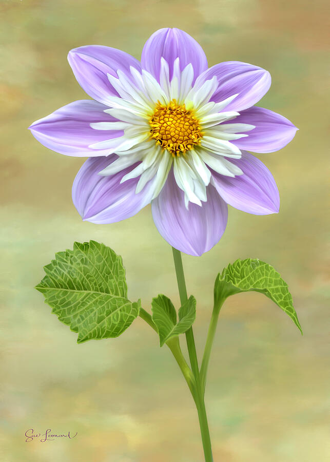 Digital painted of a Tree Dahlia Photograph by Sue Leonard Digital painted of a Tree Dahlia Photograph by Sue Leonard