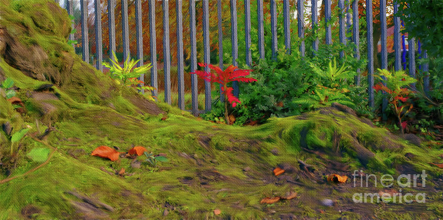 Digital painting of shrubs. Photograph by Pics By Tony