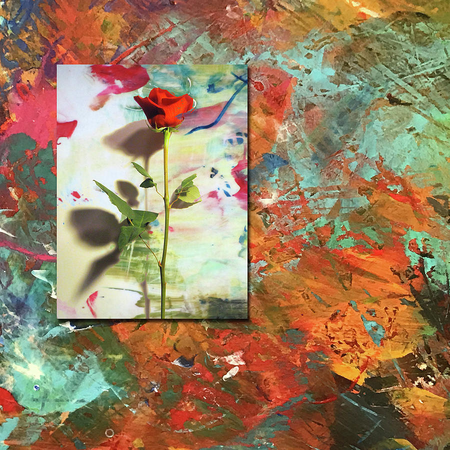 Digital Red Rose and Abstract Digital Art by Anita Burgermeister