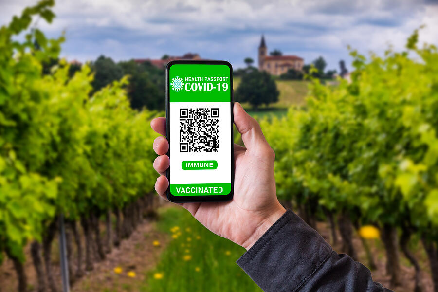 Digital vaccination passport on the background of French vineyards. Health Passport with certificate of covid-19 vaccination Photograph by Anton Petrus