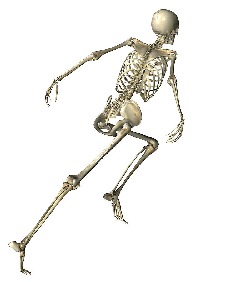 Digitally generated image of running human skeleton Drawing by Calysta Images