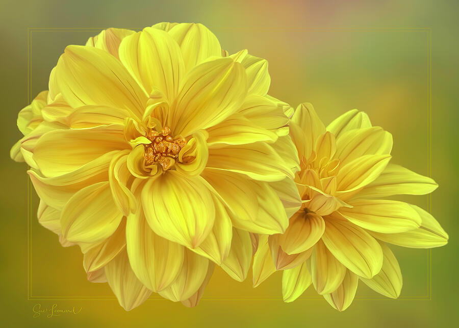 Digitally painted Dahlia with gold affect centre Photograph by Sue Leonard Digitally painted Dahlia with gold affect centre Photograph by Sue Leonard