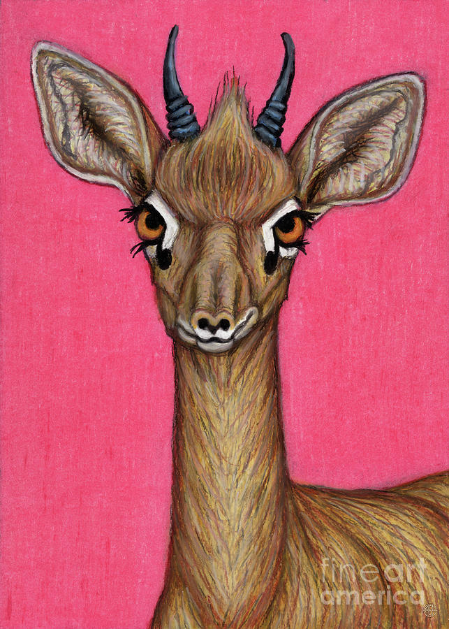 Dik Dik Antelope Painting by Amy E Fraser