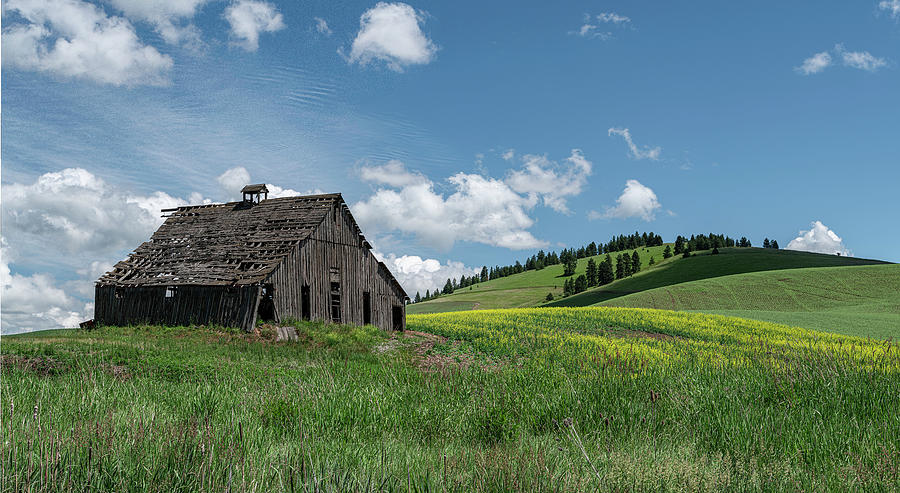 Dilapidated Barn Of The Palouse Photograph