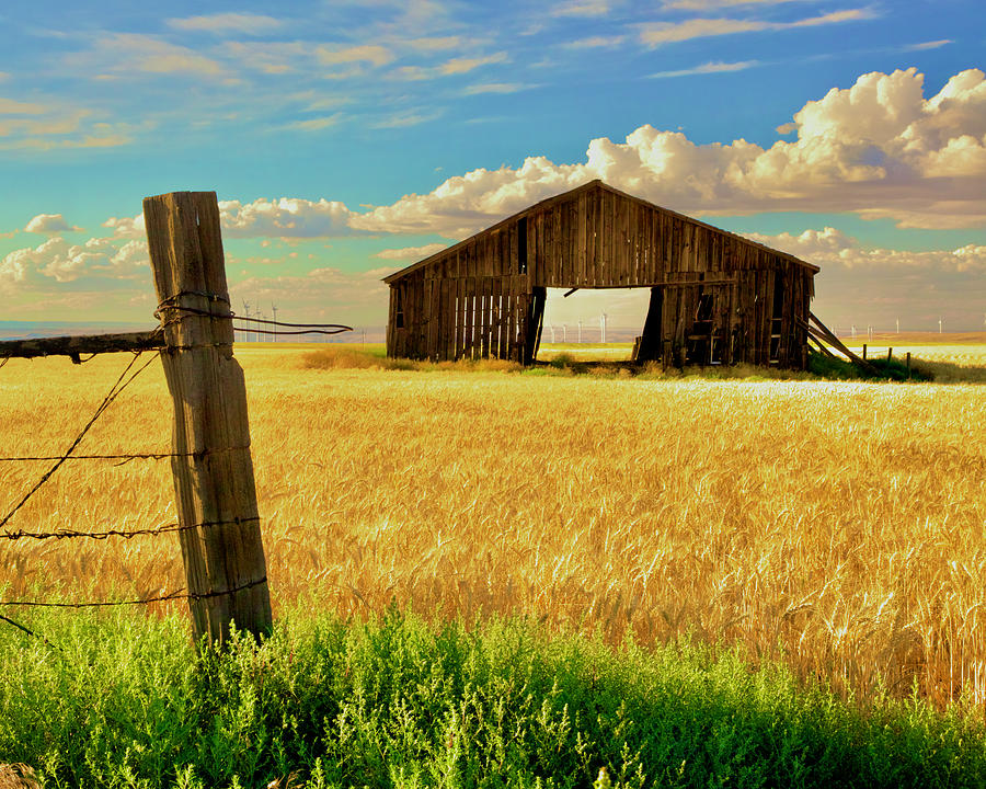 Dilapidated Barn Photograph by Todd Kreuter