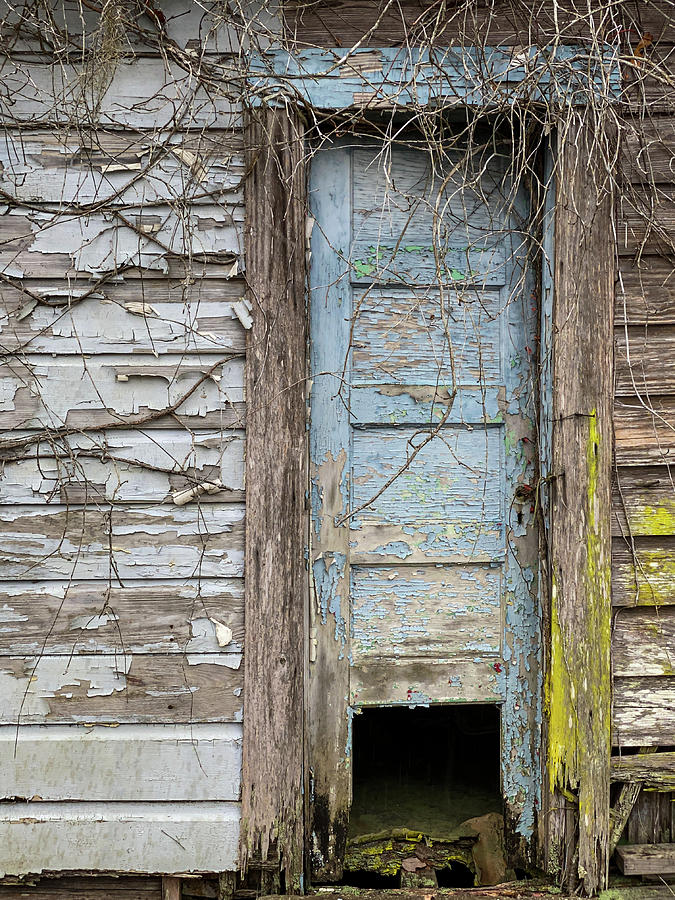 Dilapidated Blue Door, Waverly, Georgia Photograph by Dawna Moore Photography