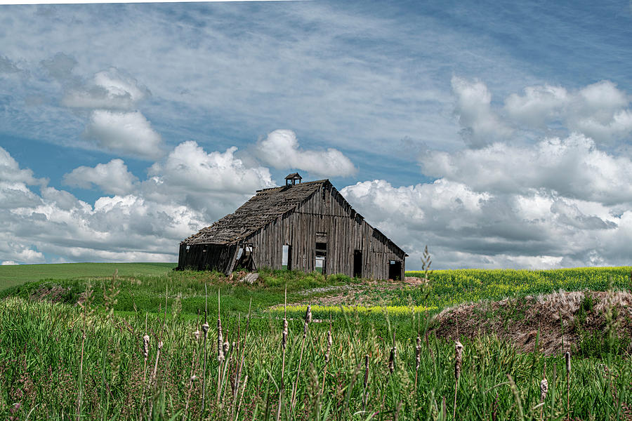 Dilapidated Old Barn of the Palouse Two Photograph by Douglas Wielfaert