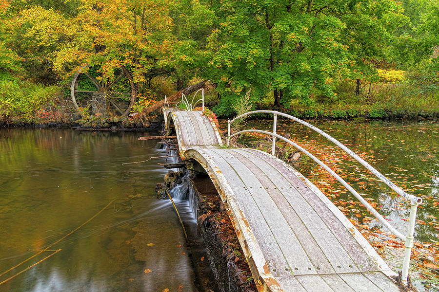 Fall Photograph - Dilapidated Serpentine Bridge by Angelo Marcialis