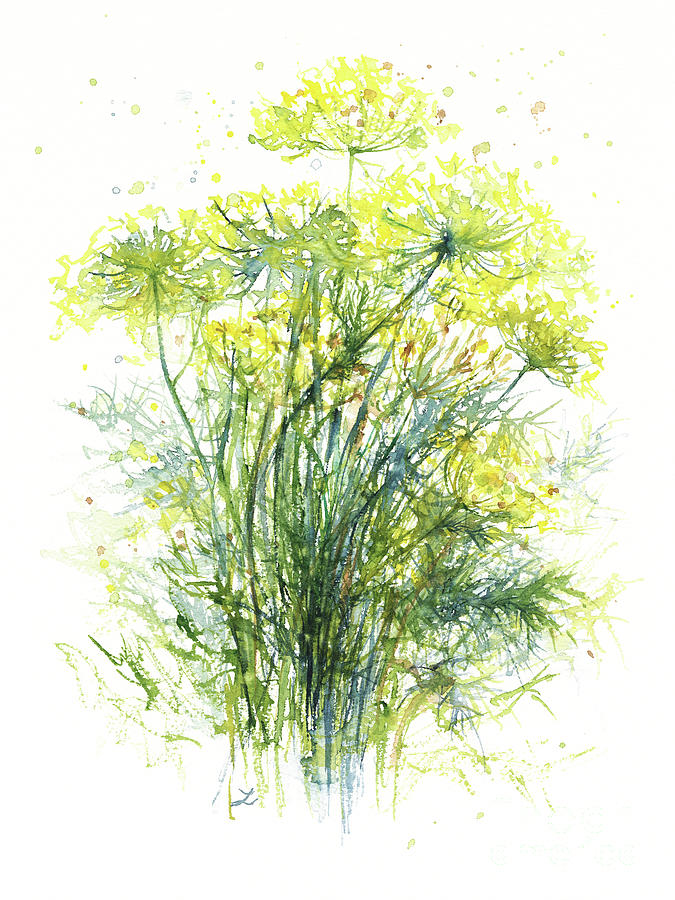 Dill Flowers Painting