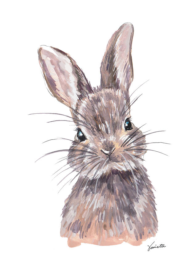 Rabbit Drawing - Dilla Bun by Venie Tee