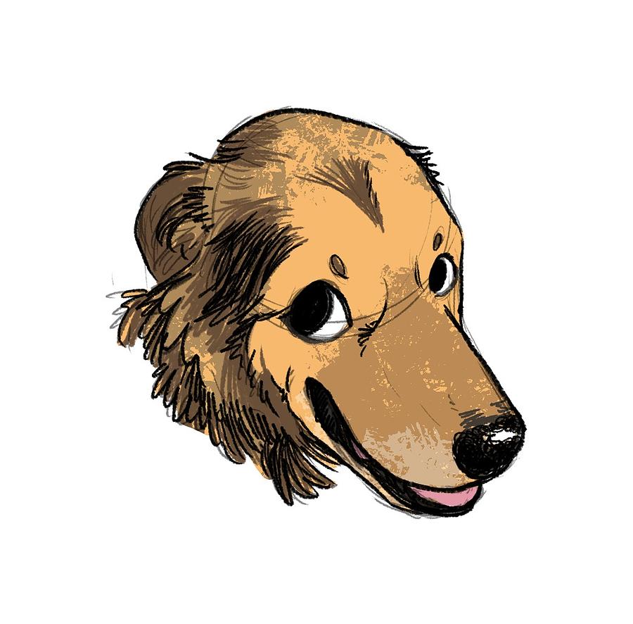 Shepherd Dog Drawing - Dillon - Shepherd Mix by Claire DeWilde Shepherd Dog Drawing - Dillon - Shepherd Mix by Claire DeWilde