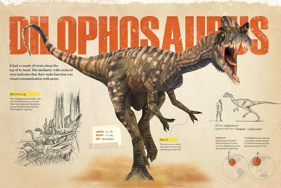 Dilophosaurus Digital Art by Album - Fine Art America