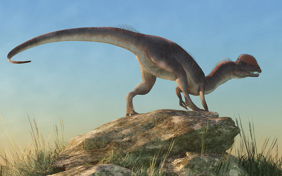 Dilophosaurus Digital Art by Daniel Eskridge