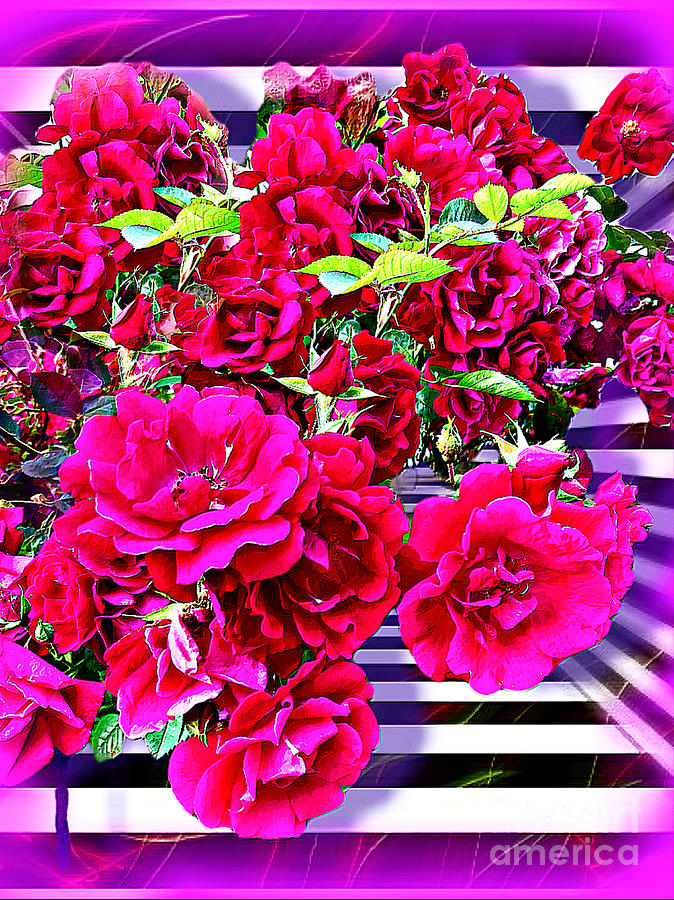 Dimensional Roses Digital Art by BelleAme Sommers