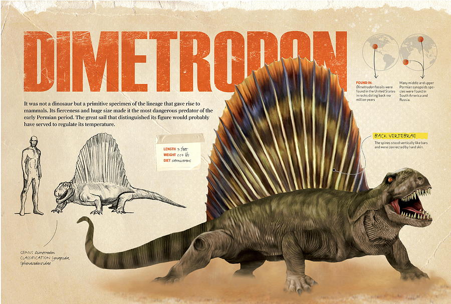 Dimetrodon Digital Art by Album