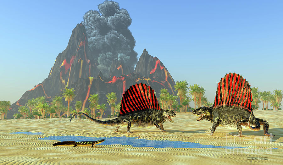 Dimetrodon Dinosaur Fight Digital Art