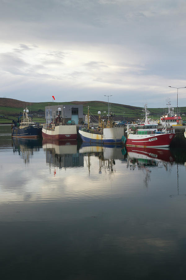 Dingle Fishing Boats Photograph by Mark Callanan
