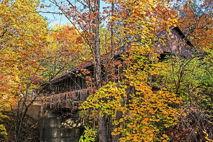 Dingleton Hills Covered Bridge Cornish NH in the Trees Fall Foliage Photograph by Toby McGuire
