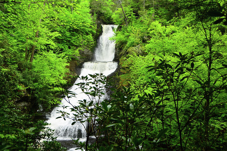 Dingman Falls Spring Green Photograph by Raymond Salani III
