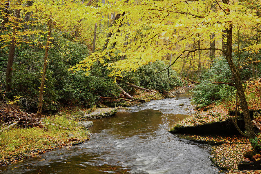 Dingmans Creek in Autumn Photograph by Paul Hamilton - Fine Art America