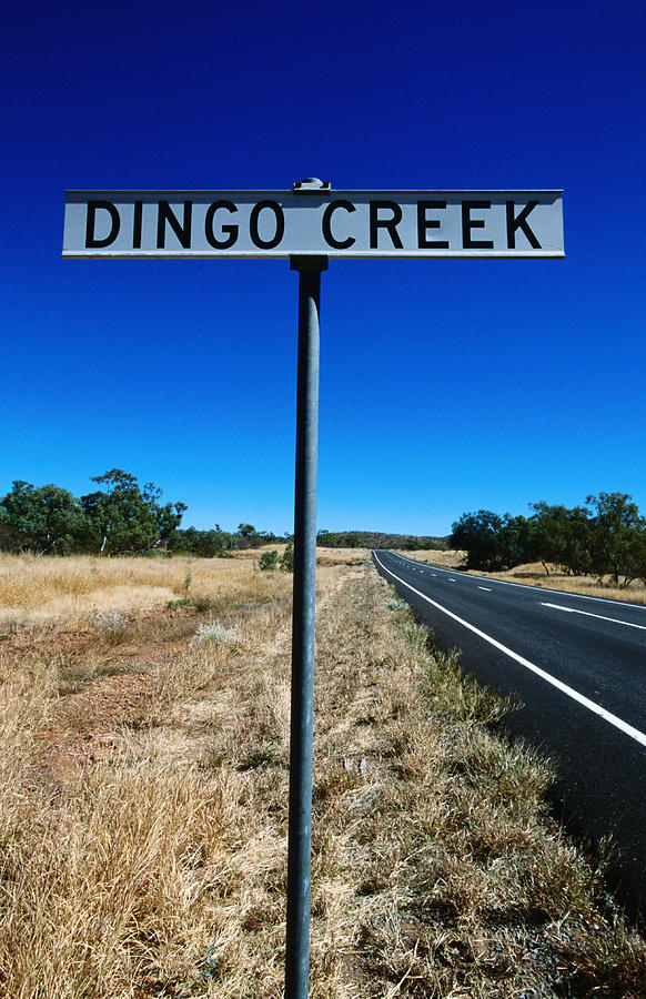 Dingo Creek sign. Photograph by Holger Leue