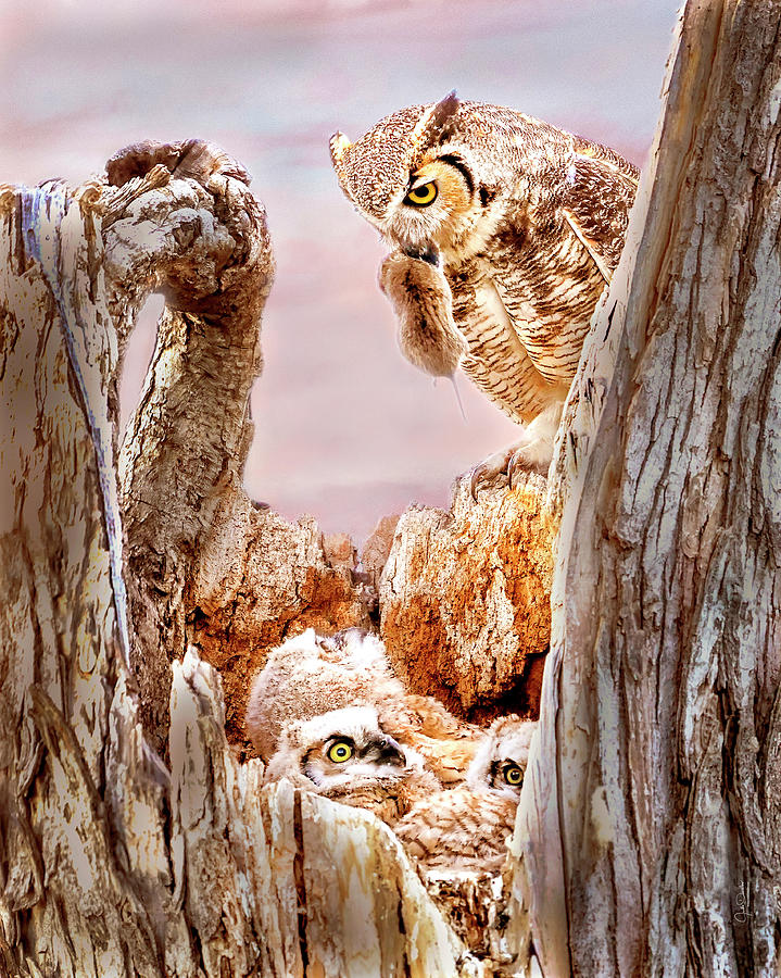 Dinner for the Great Horned Owl Family Photograph by Judi Dressler