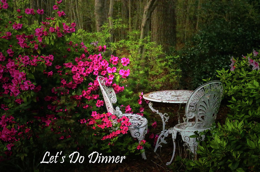 Dinner Invitation  Photograph by Ola Allen