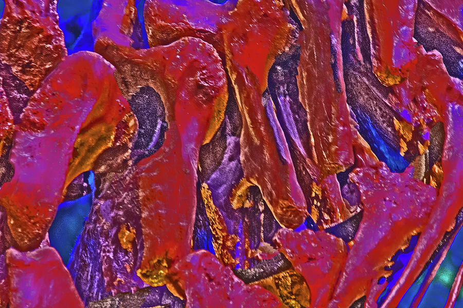 Dinosaur Bones Purples Reds Browns Blues Golds Space Travel 2 3152020 Photograph by David Frederick