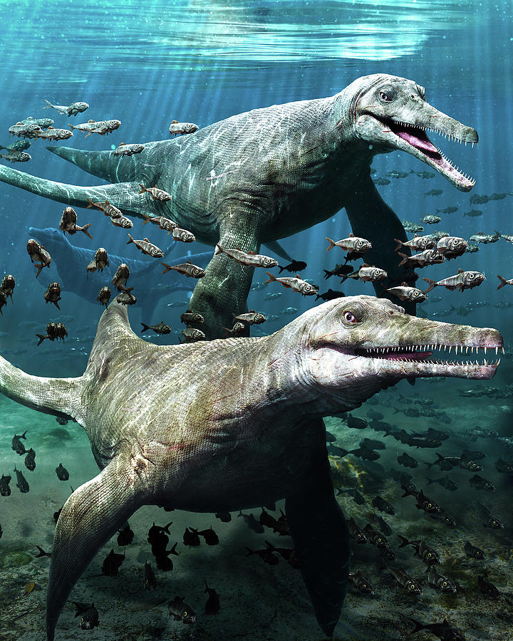 Dinosaur Dolichorhynchops Photograph by Robert Banach - Fine Art America