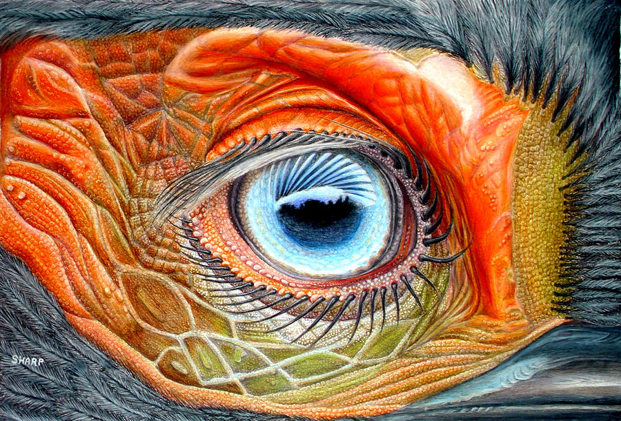 Dinosaur Eye Drawing by Karen Sharp Fine Art America