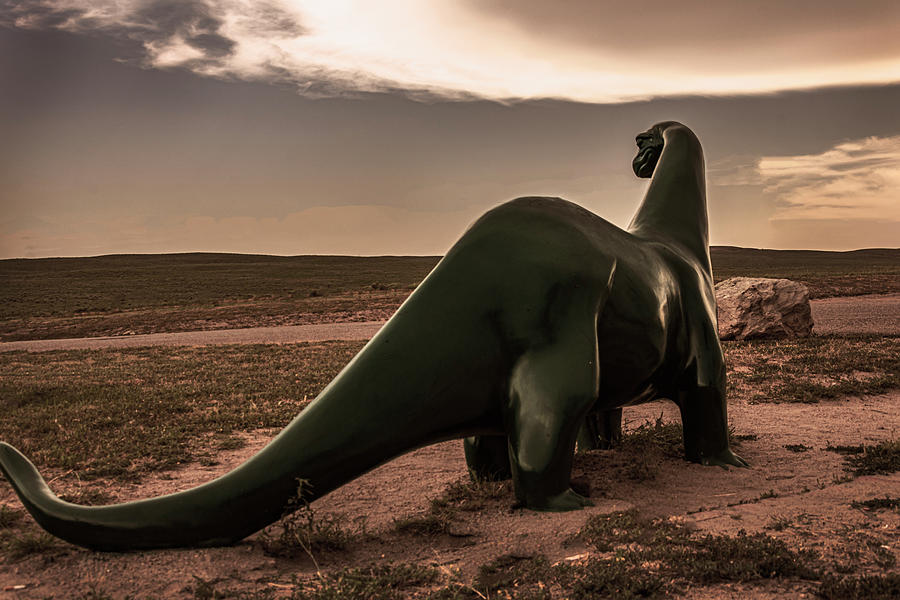 Dinosaur Photograph by Lonnie Paulson