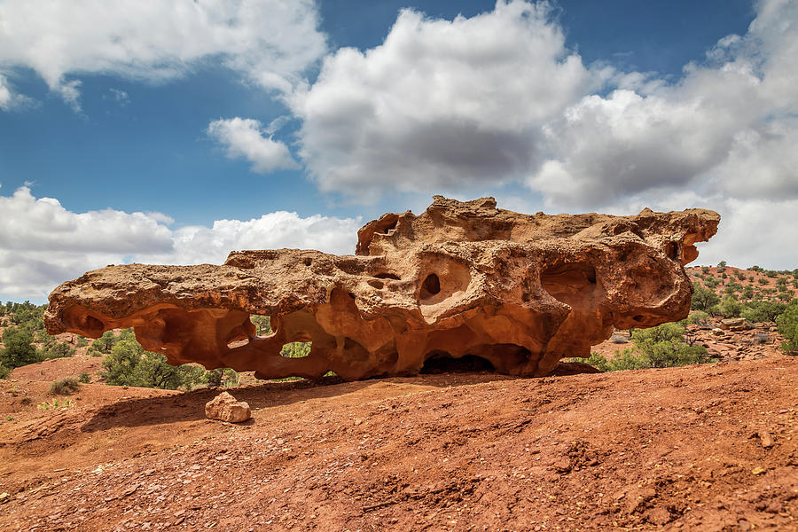 Dinosaur Rock of Capitol Reef Photograph by Pierre Leclerc Photography