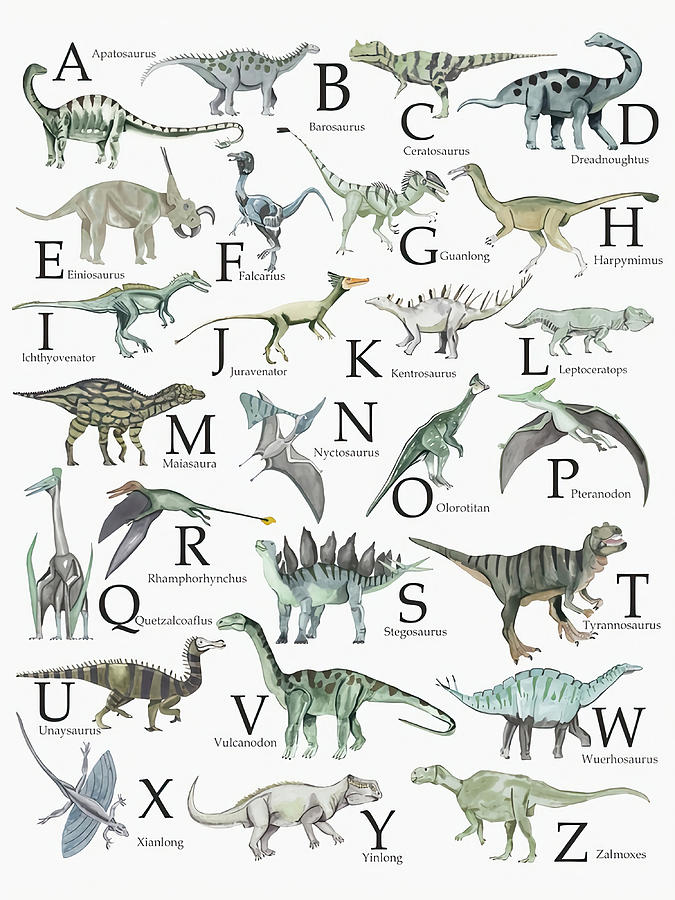 Dinosaur Types Poster cool aesthetic Painting by Dan Stephanie | Fine ...