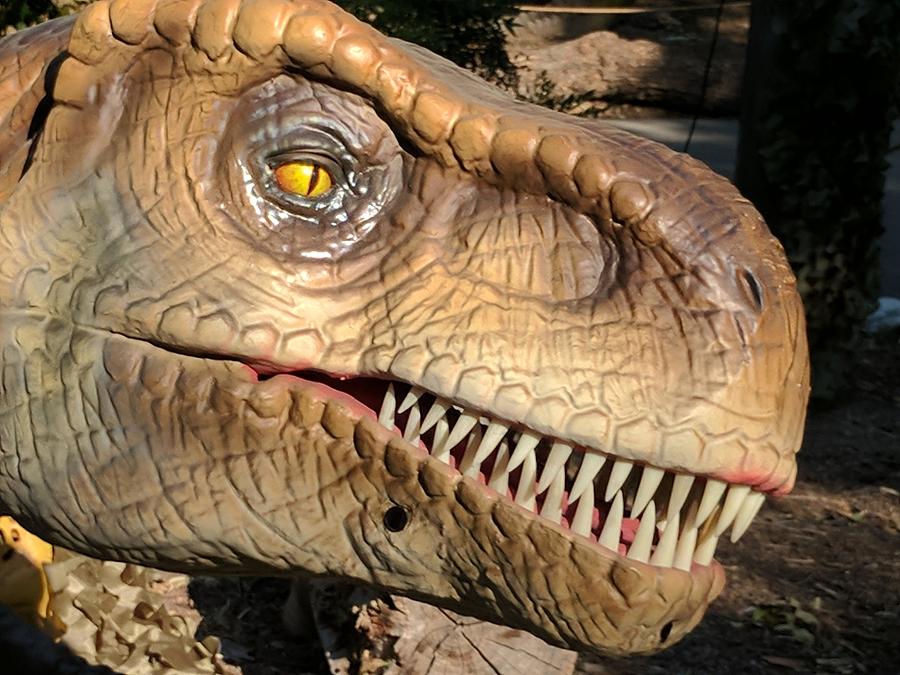 Jurassic Park Painting - Dinosaur Tyrannosaurus Rex u2 by Les Classics